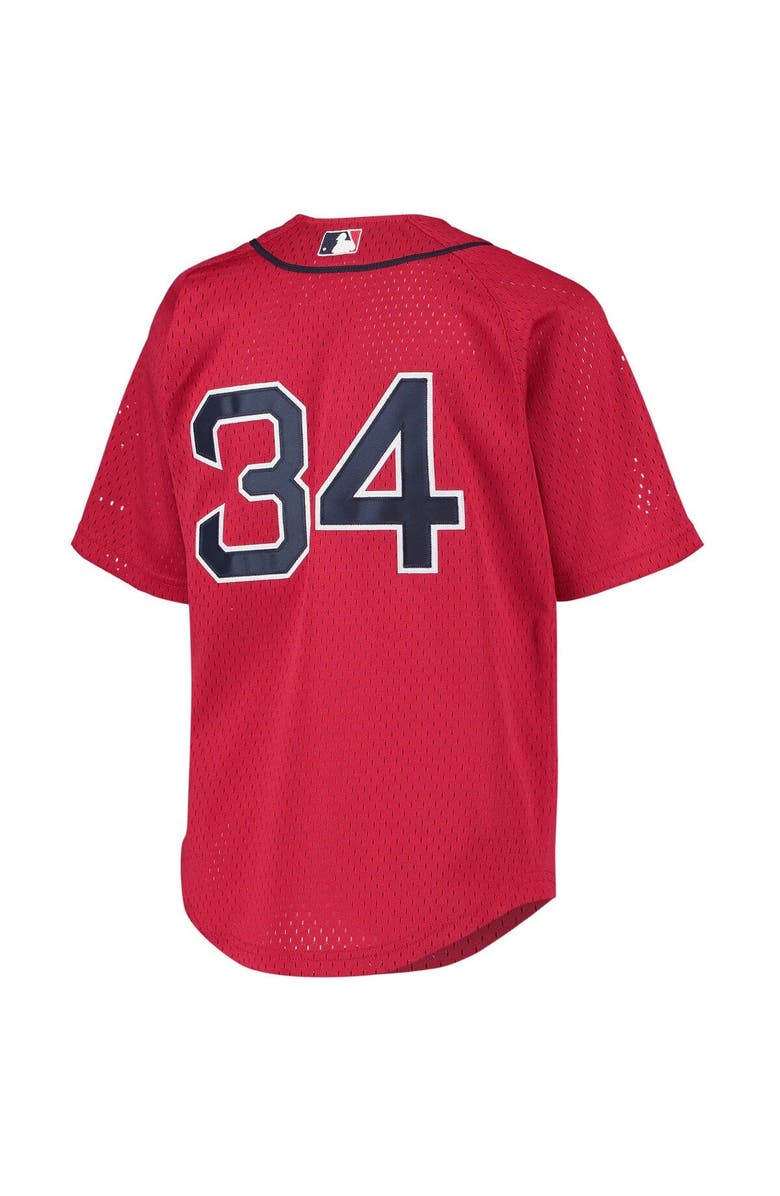 Mitchell & Ness Youth Mitchell & Ness David Ortiz Red Boston Red Sox Cooperstown Collection Batting Practice Jersey, Alternate, color, Red