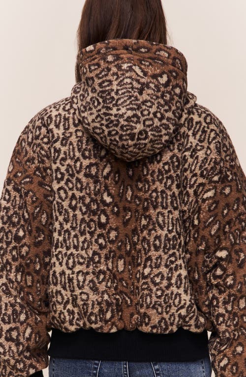 Guizio Charli Hooded Quilted Jacket In Brown