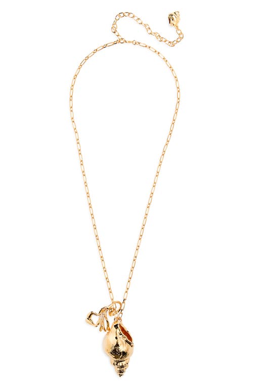 Oscar De La Renta Coral & Shell Pendant Long Necklace In Gold