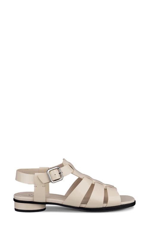 Ecco Sculpted Alba 25 Fisherman Sandal In Limestone