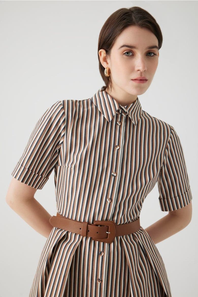 Amara Midi Dress, Alternate, color, Brown Striped