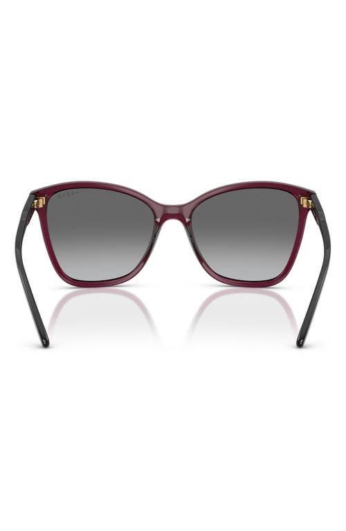 Vogue 56mm Gradient Butterfly Sunglasses In Burgundy
