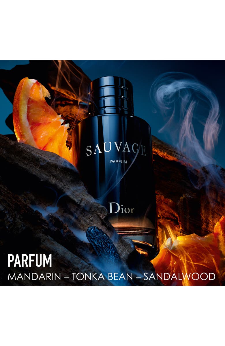 DIOR Sauvage Fragrance Set, Alternate, color, 