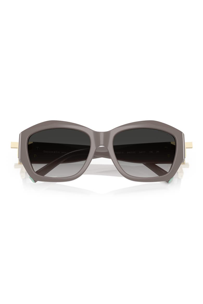 54mm Gradient Pillow Sunglasses, Alternate, color, CHOCOLATE TRUFFLE / GREY