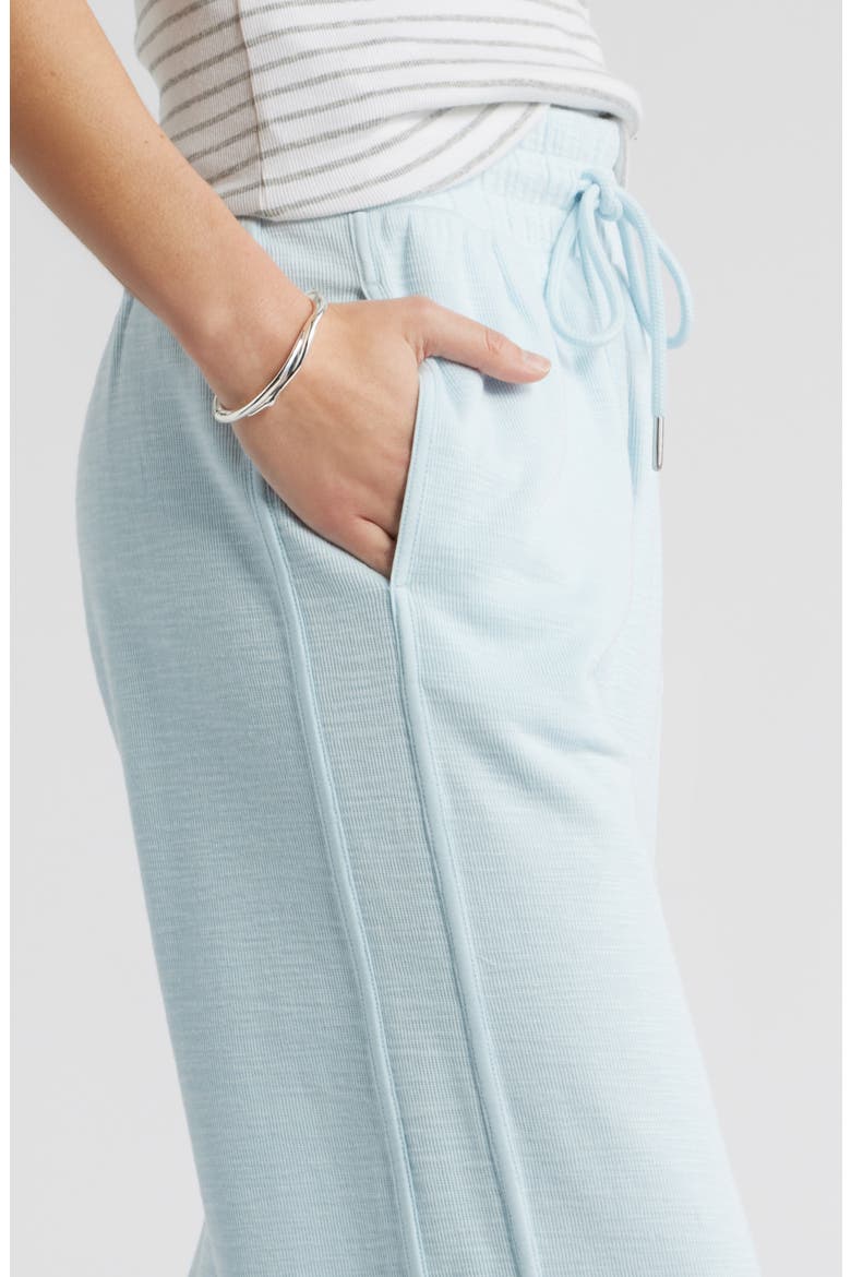 Ankle Wide Leg Travel Pants, Alternate, color, BLUE DELICATE