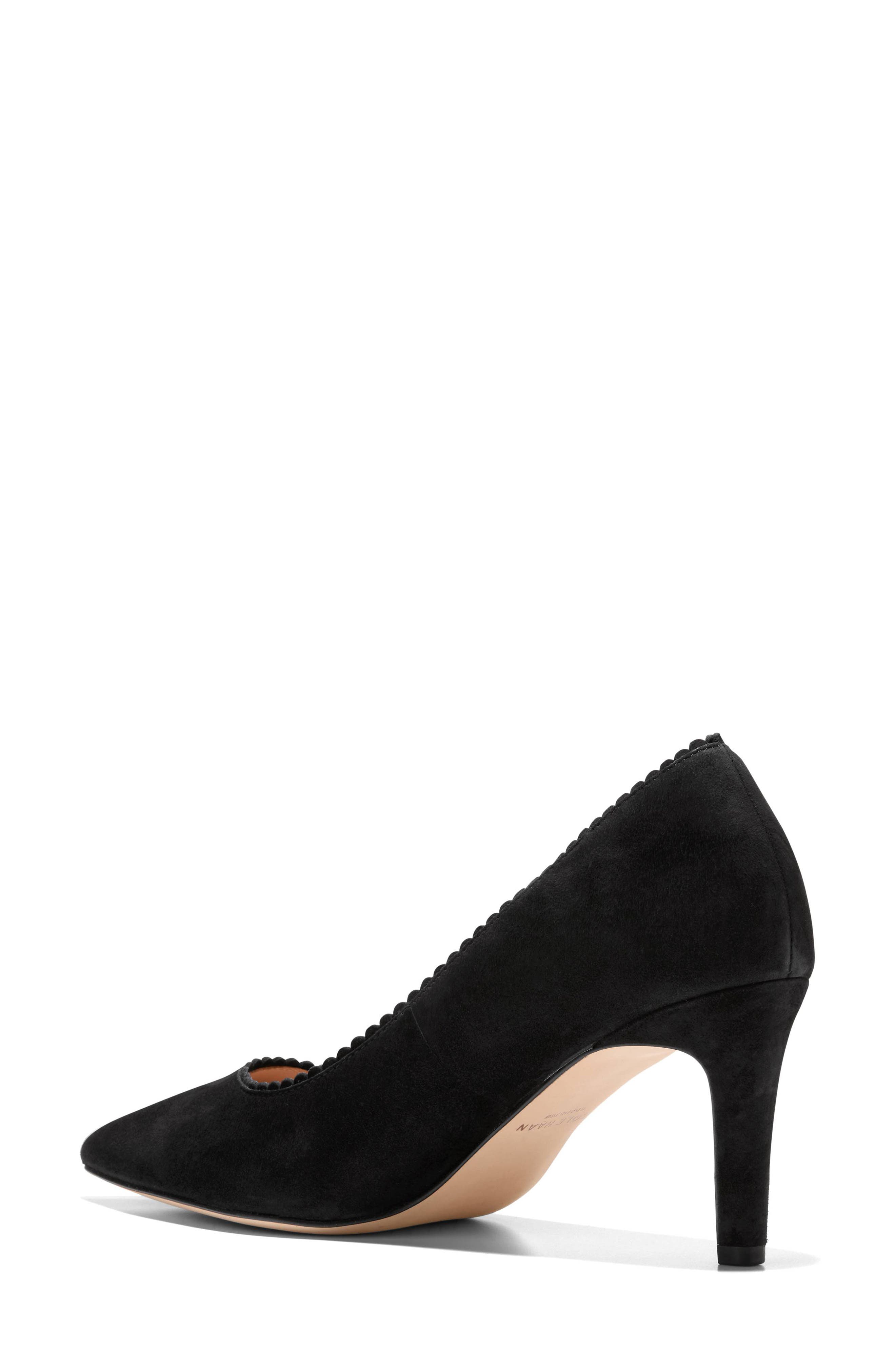 Cole Haan Bellport Pointed Toe Pump, Alternate, color, Black Suede