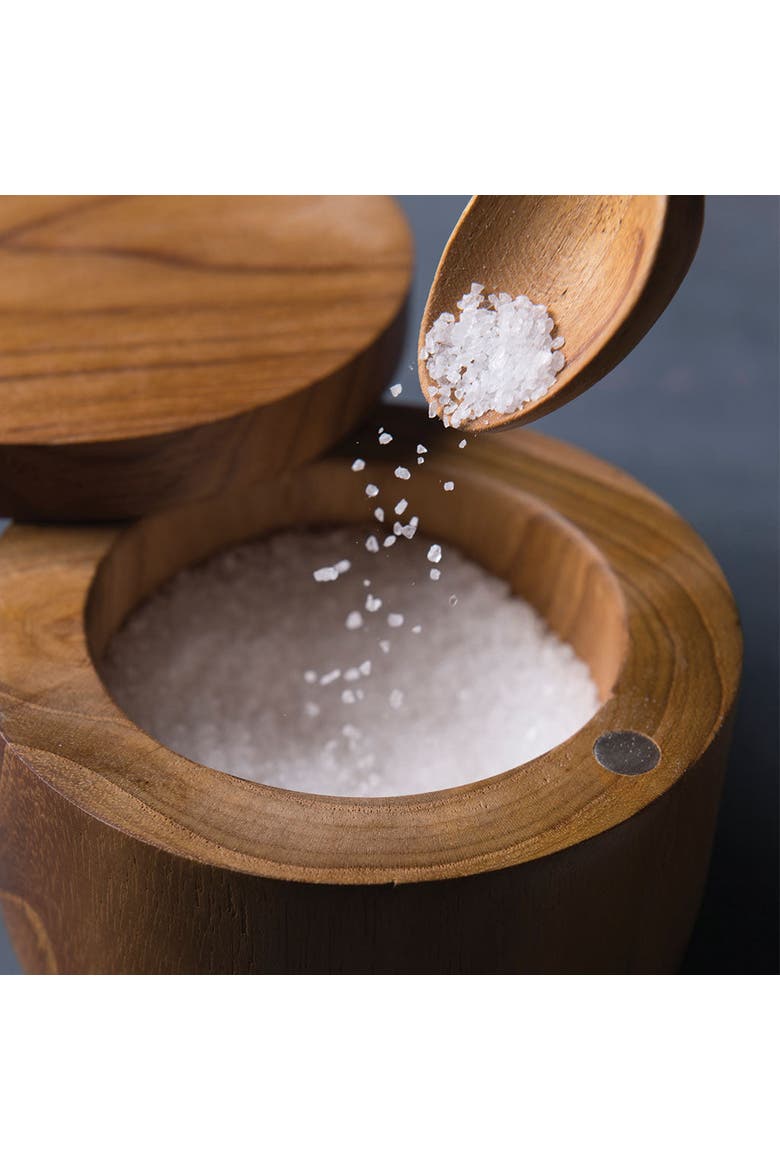 Teak Cellar with Spoon & Pivoting Lid, Alternate, color, Teak