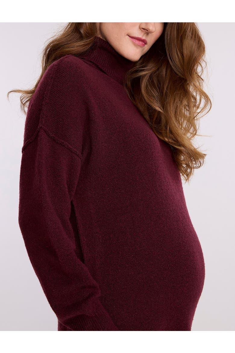 Long Sleeve Turtleneck Sweater Tunic Dress, Alternate, color, Dark Red