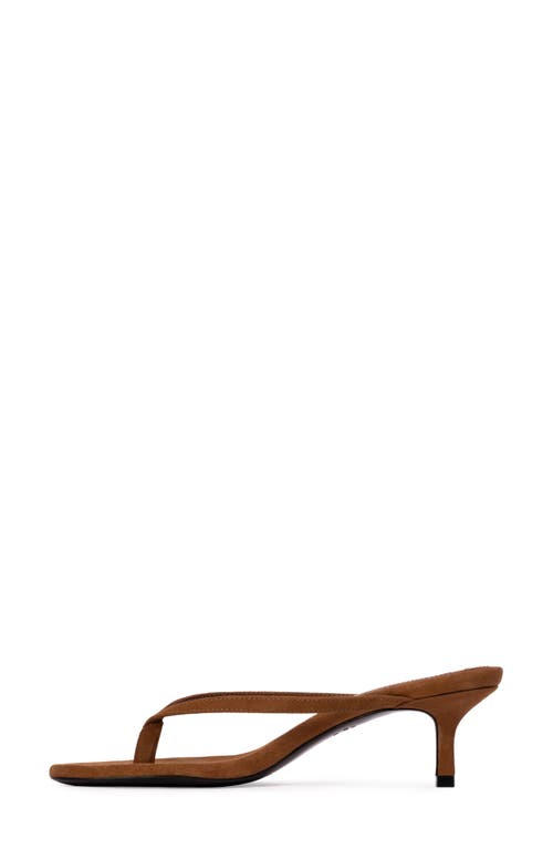 Black Suede Studio Tash Suede Thong Slide Sandals In Tobacco Suede