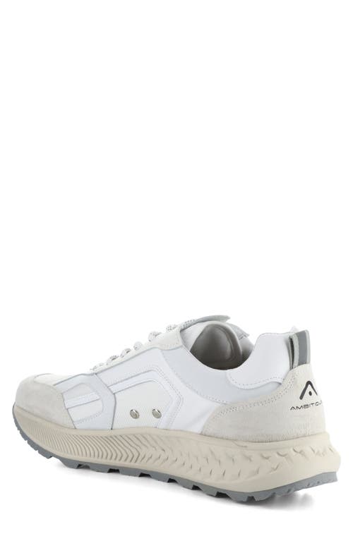 Ambitious 13393 Sneaker In White