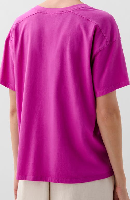 Scalpers V Plain Skull Tee In Purple