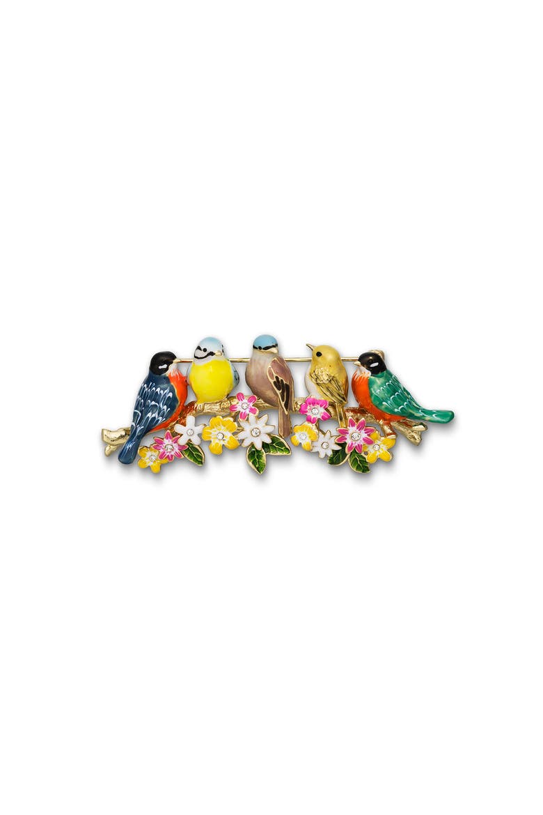 Songbird Serenade Brooch, Main, color, Songbird