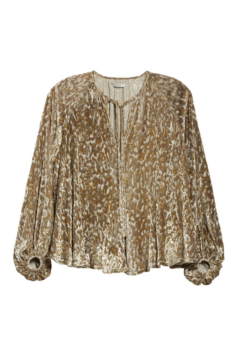 Embroidered Velvet Balloon Sleeve Top, Alternate, color, GOLD