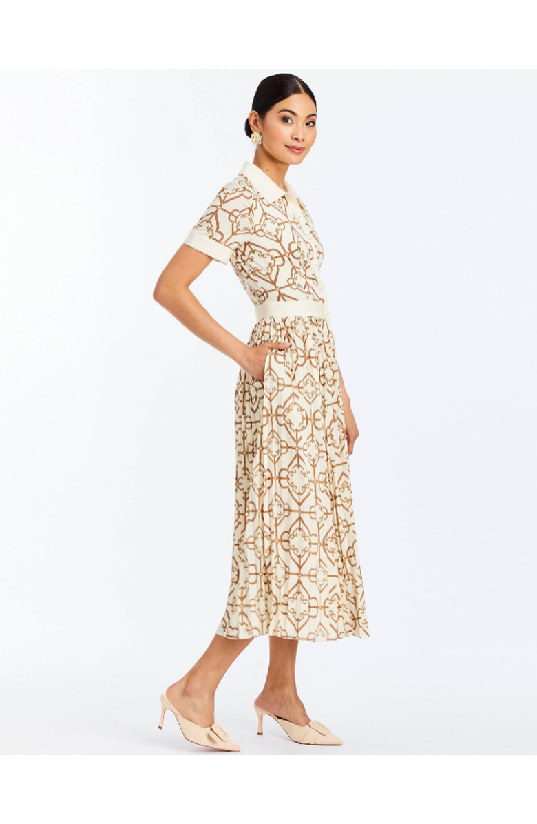 Mestiza New York Billie Collared Shirt Dress, Alternate, color, Brown