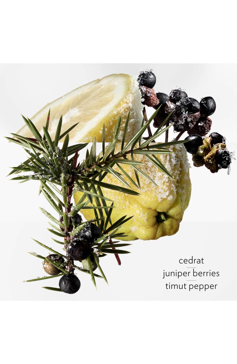 Hermès Terre d'Hermès Eau Givrée - Eau de Parfum, Alternate, color, Regular