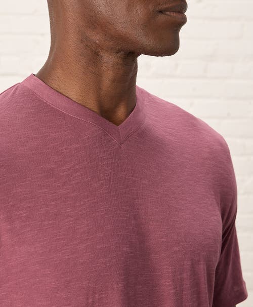 Pact Organic Cotton Featherweight Slub V-neck Tee In Mauve