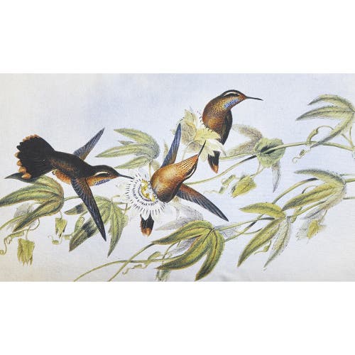 Tag Hummingbird Lumbar Cotton Accent Decorative Throw Pillow In White