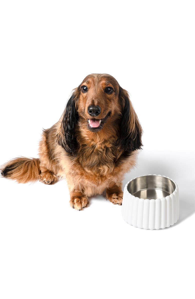 The Licker Store Ripple Ridge Small/Medium Slanted Concrete and Stainless Steel Bowl 16oz (2 Cups) Pet Feeder, Main, color, White