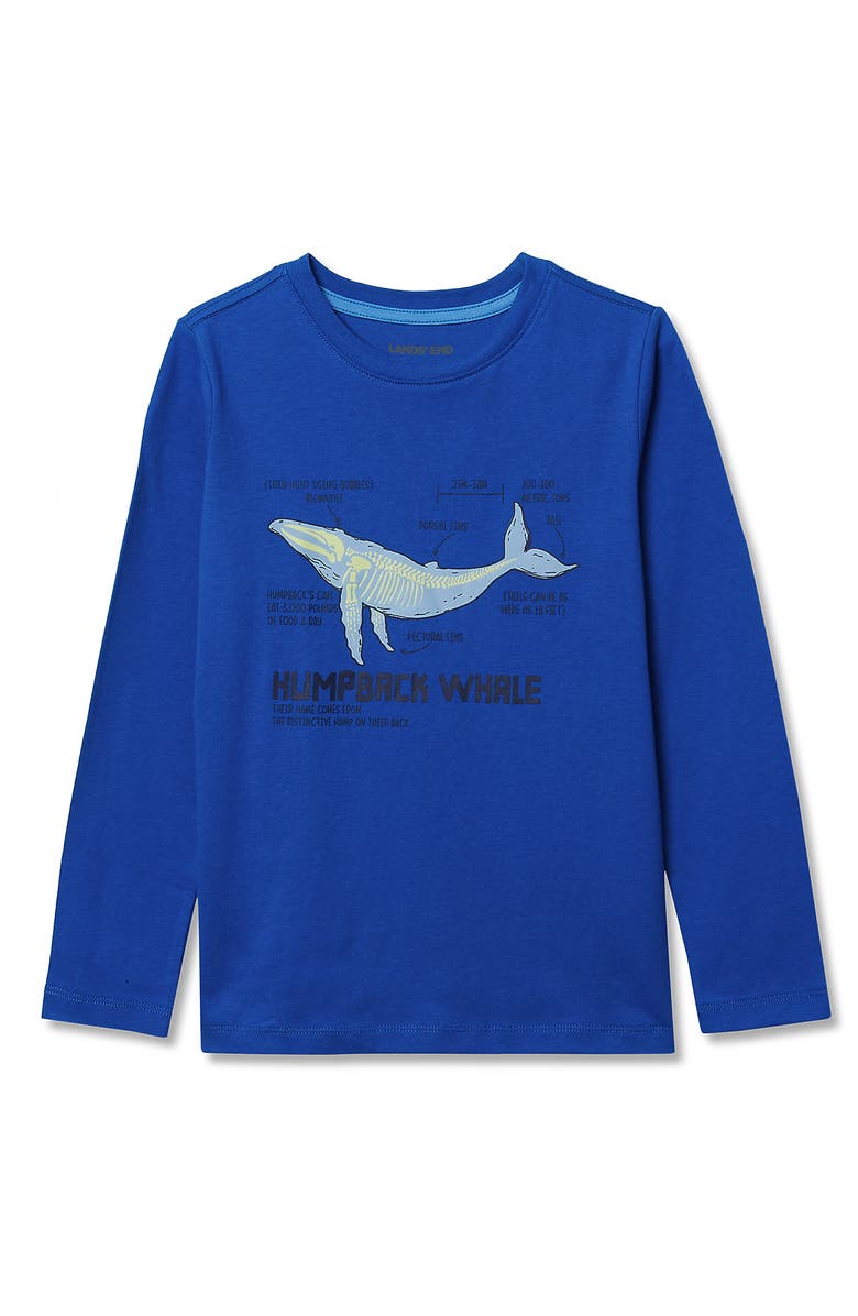 Lands' End Boys Husky Long Sleeve Graphic Tee, Main, color, Cobalt Humpback Whale