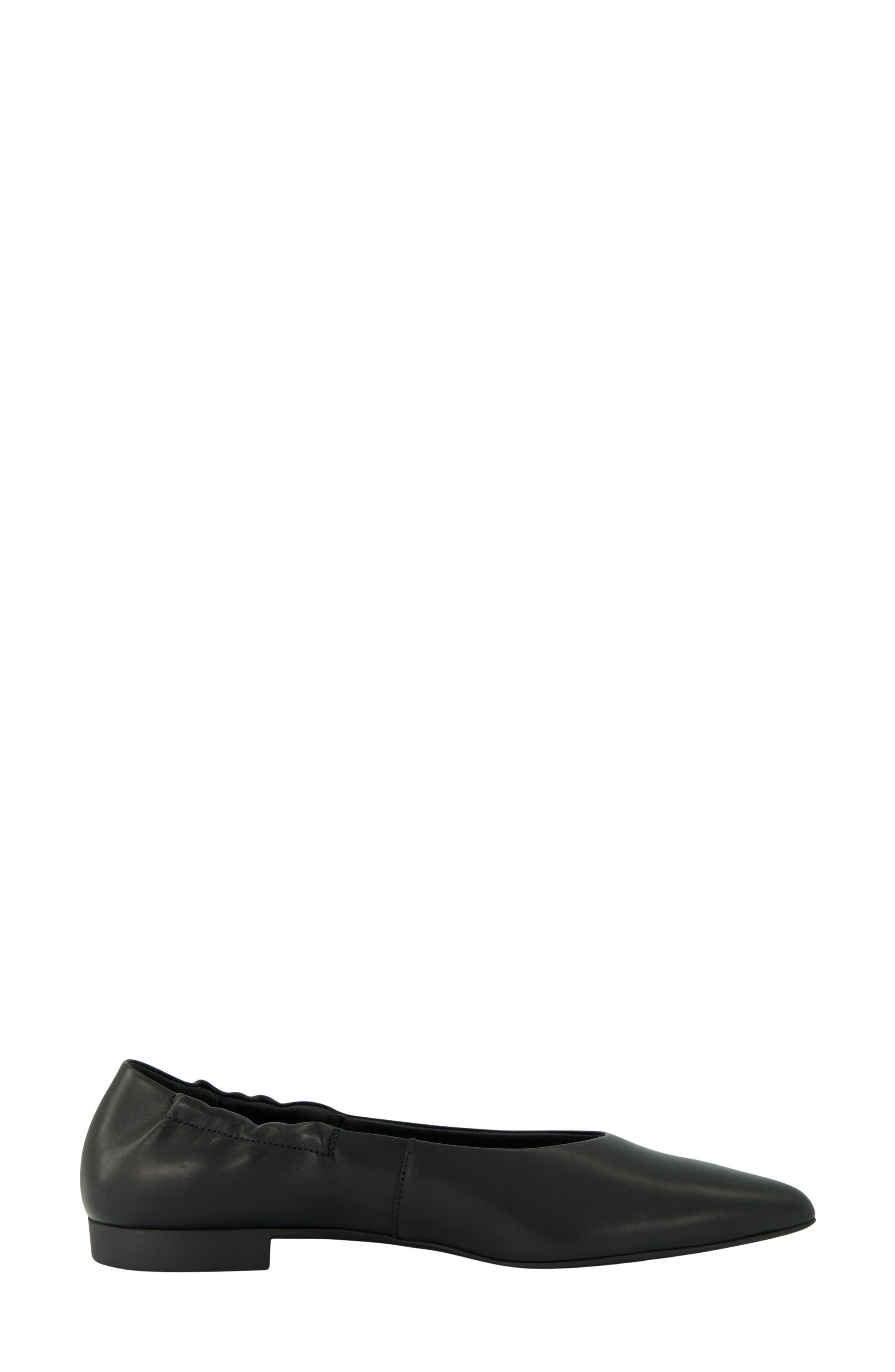 Elly Pointed Toe Flat, Alternate, color, BLACK LEATHER