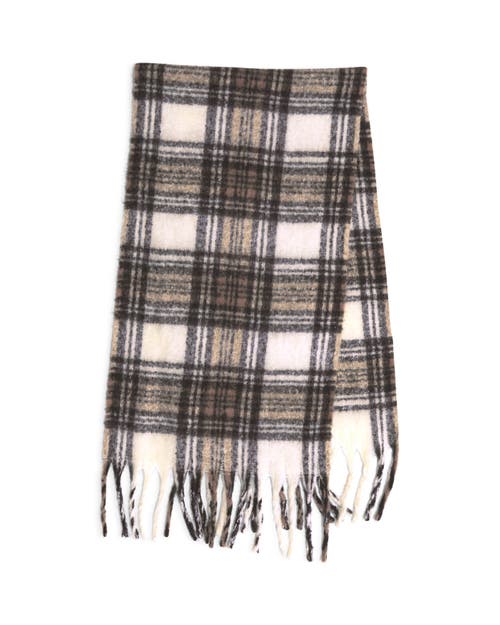 Belle & Bloom Still Into You Scarf In Multi