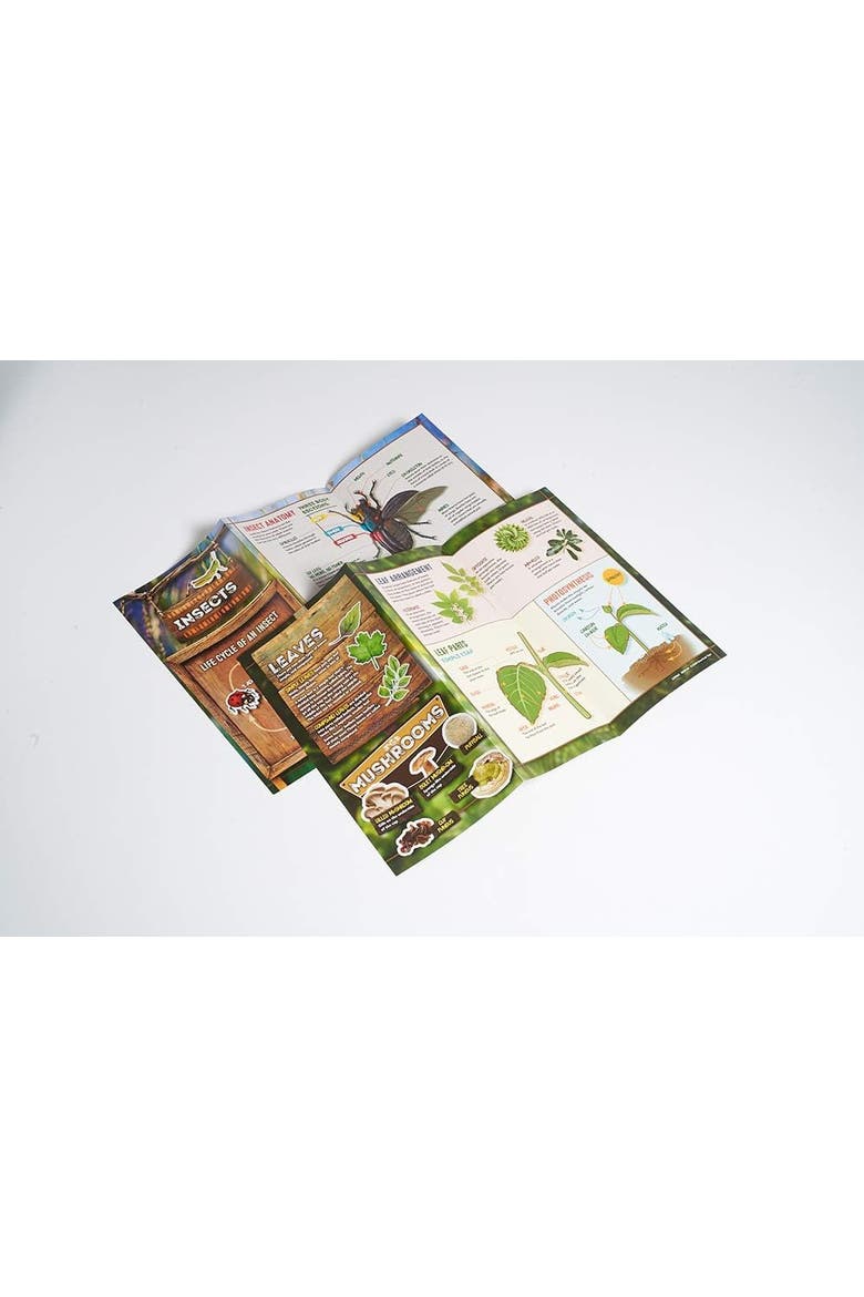 Outdoor Science Lab, Alternate, color, Multicolored