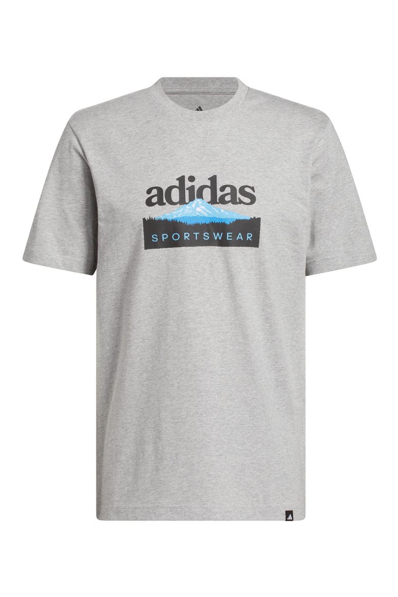 Mountain Sportswear Graphic T-Shirt, Main, color, MEDIUM GREY HEATHER