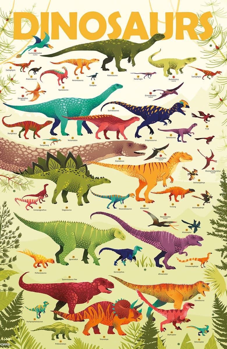 Scrunch Dinosaurs Discovery Poster & Stickers, Alternate, color, Multi
