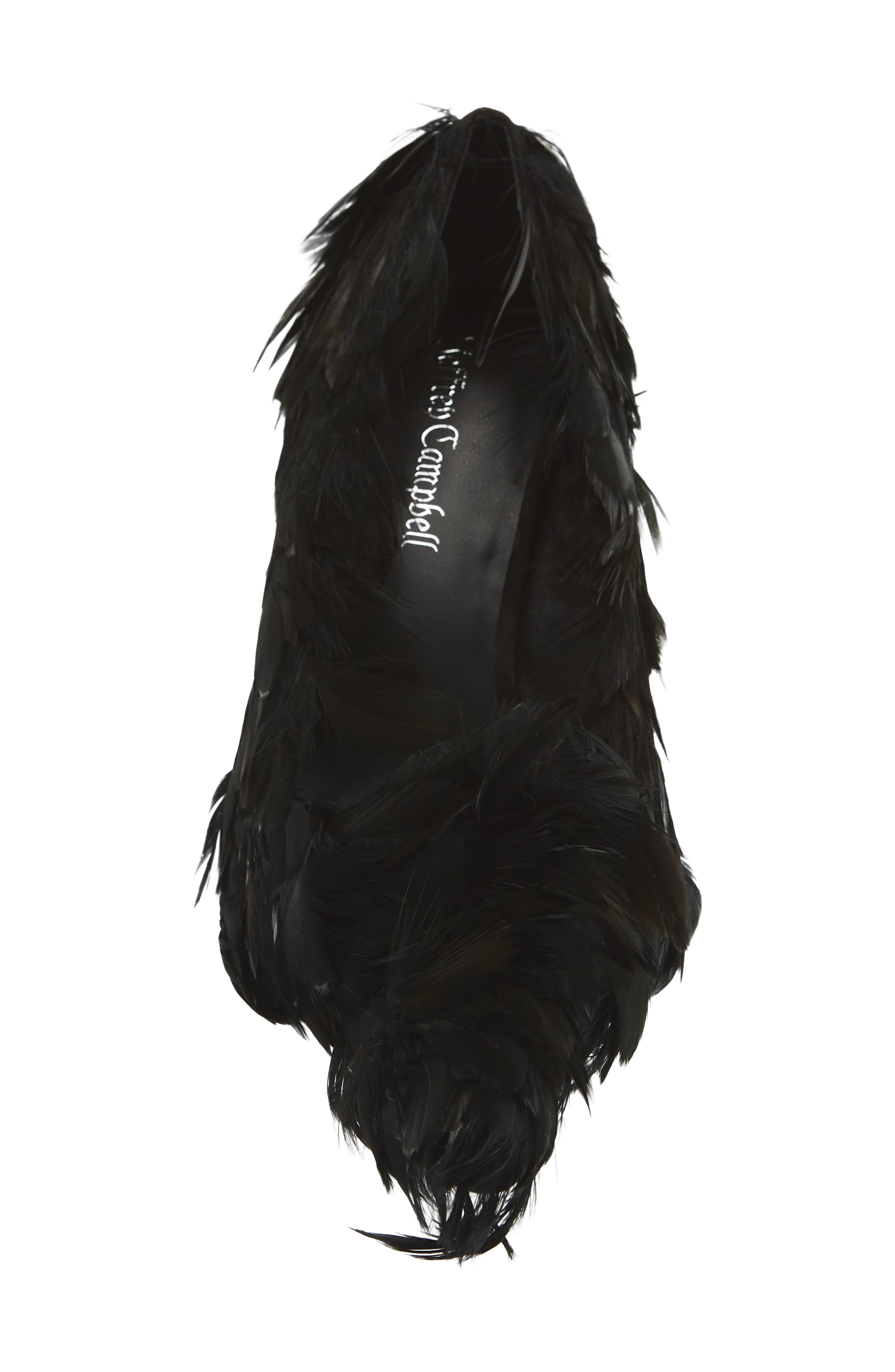 Plumage Pointed Toe Pump, Alternate, color, BLACK
