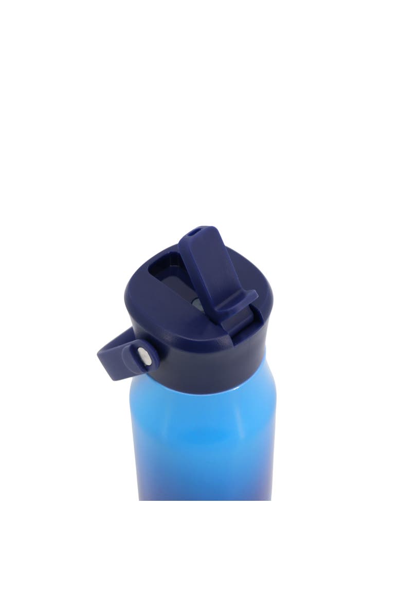 Flowee 14oz Insulated Water Bottle, Alternate, color, Blue Gradient