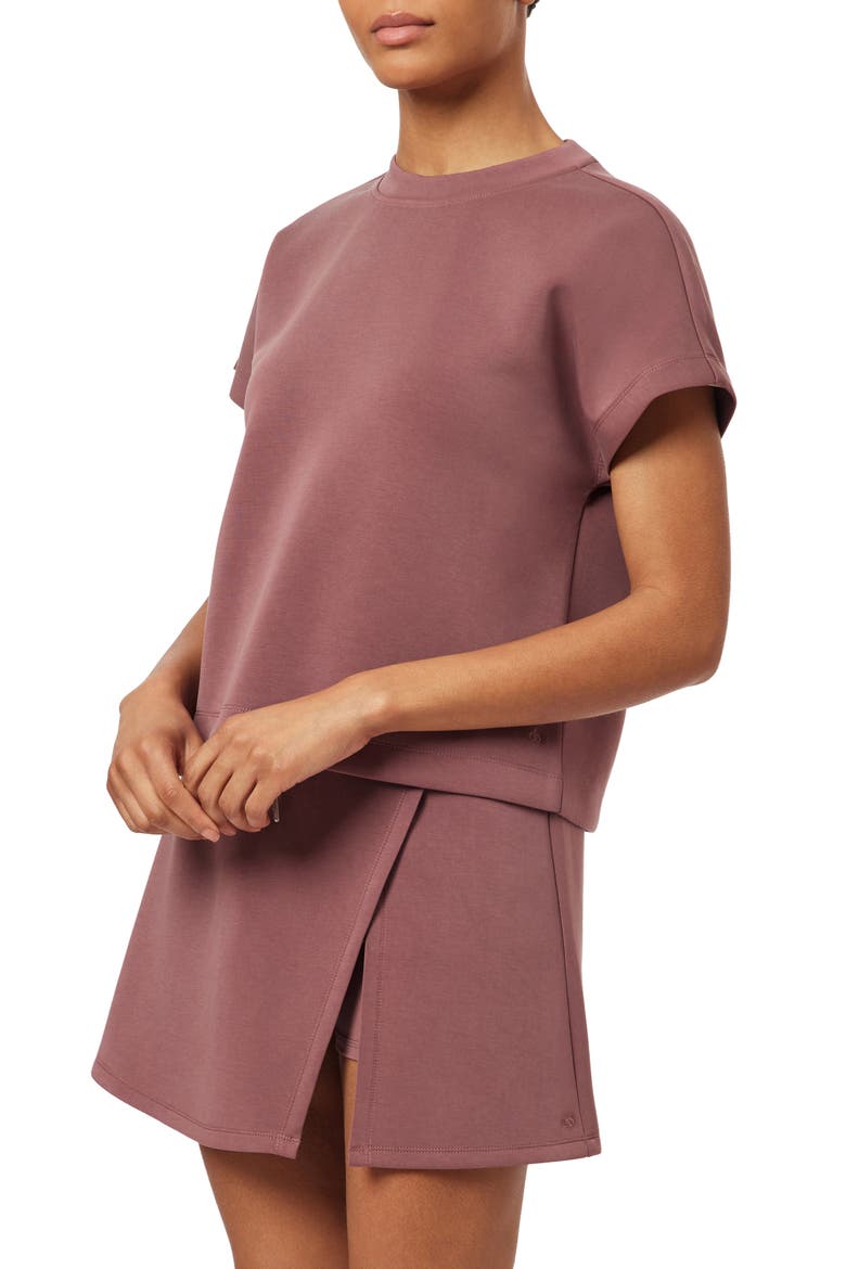 Curved Sleeve T-Shirt, Alternate, color, ROSE BROWN