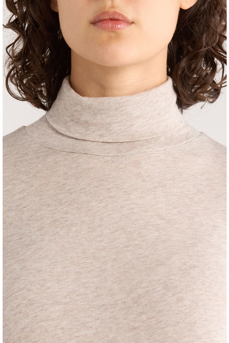 Long Sleeve Turtleneck Top, Alternate, color, DOVE