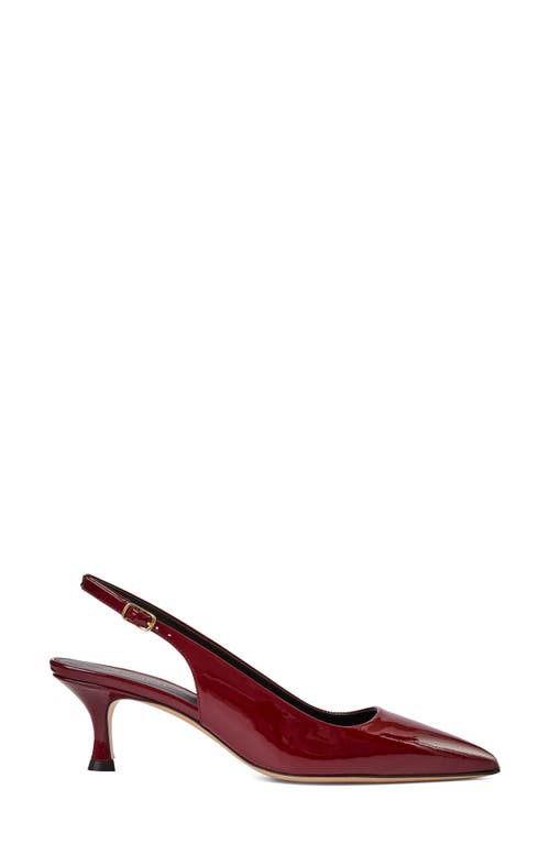 Bruno Magli Palerma Pointed Toe Kitten Heel Slingback Pump In Burgundy