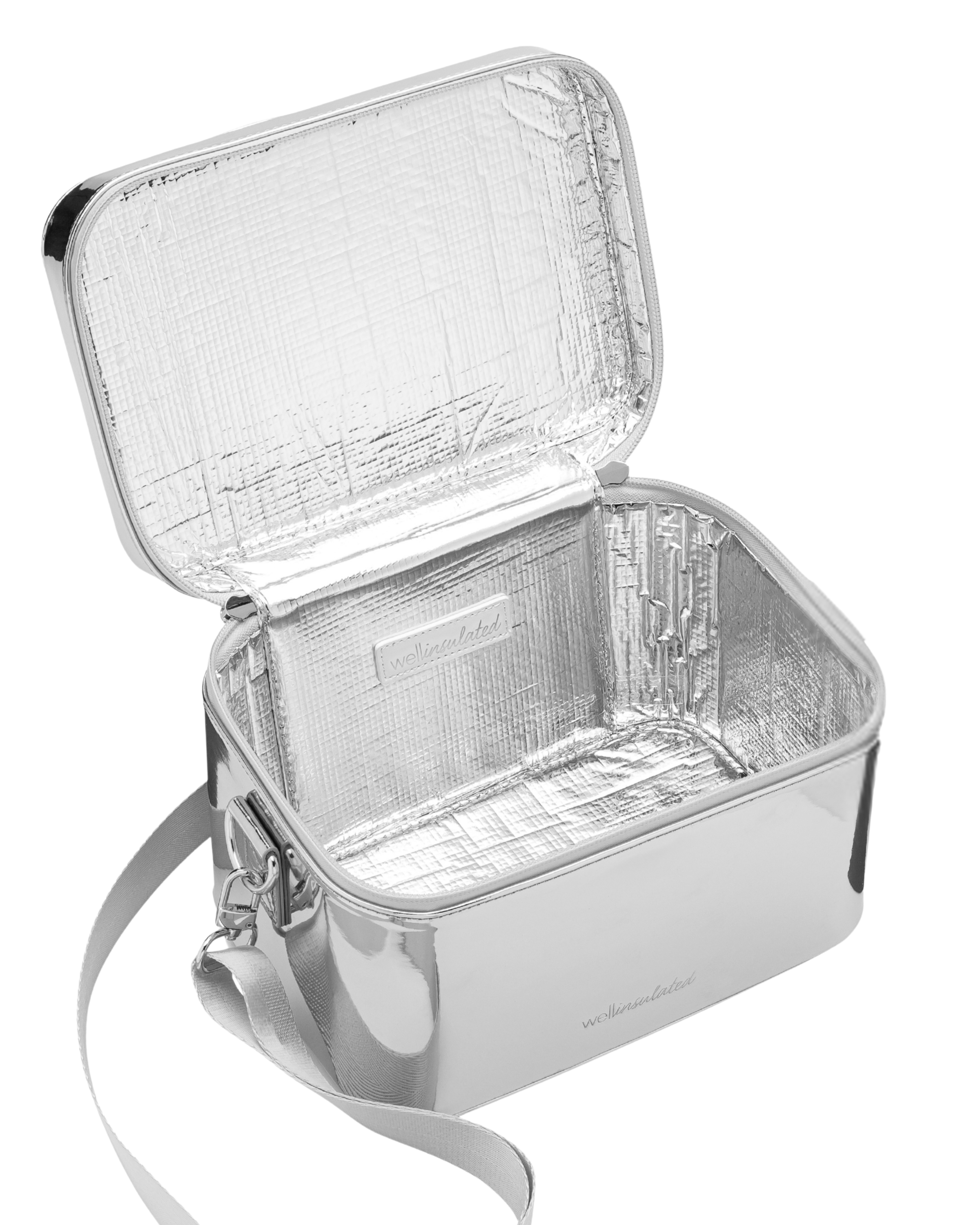 Performance Beauty Case + Strap, Main, color, Silver