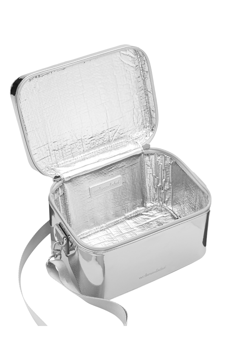 WELLinsulated Performance Beauty Case, Main, color, Silver