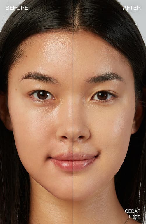 Ogee Sculpted Complexion Stick