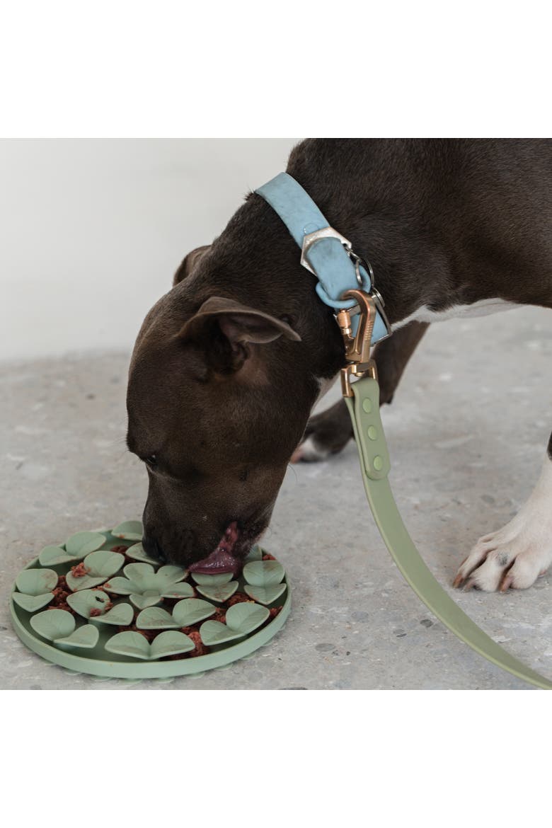 Textured Dog Feeding Pad, Alternate, color, Green