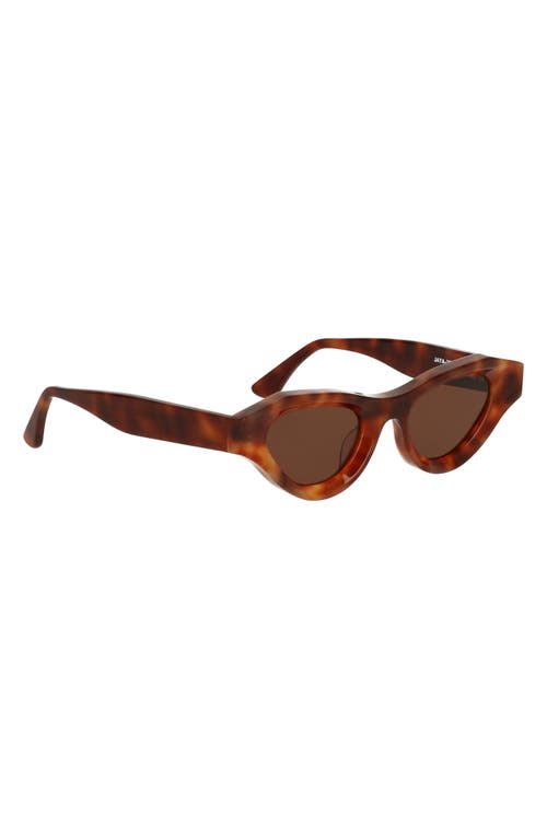Cult Gaia X Thierry Lasry Jaya 49mm Cat Eye Sunglasses In Brown