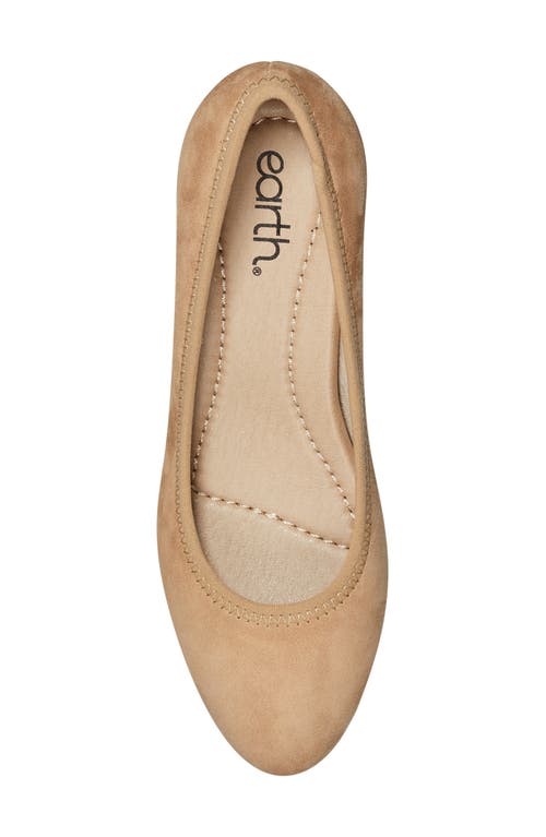 Earth Women's Rellia Block Heel Ballet Pumps In Brown