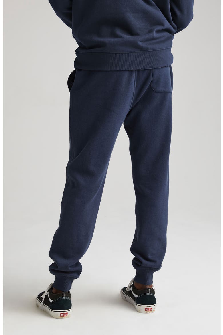 Joggers, Alternate, color, BLUE NIGHTS