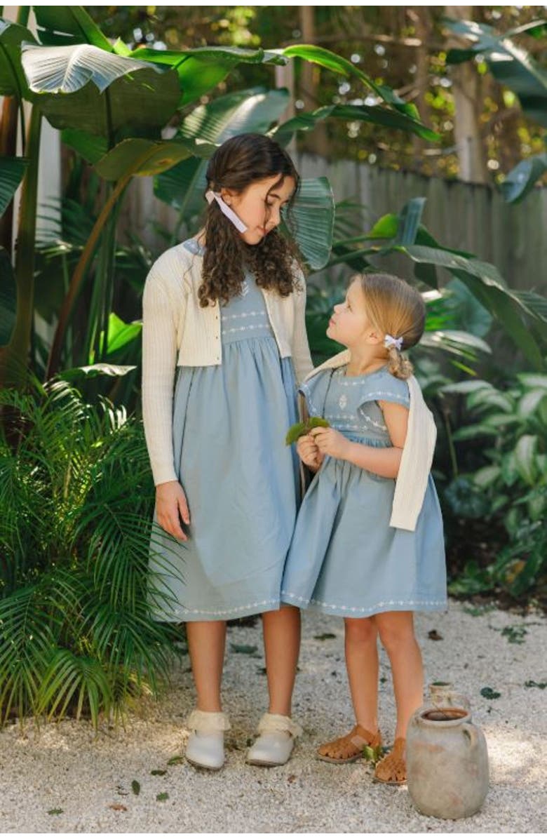 Ely's & Co. Looms Embroidered Trim Collection - Dress, Alternate, color, Blue
