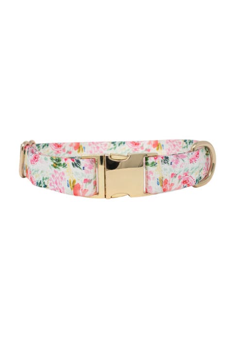 Isabella Dog Collar