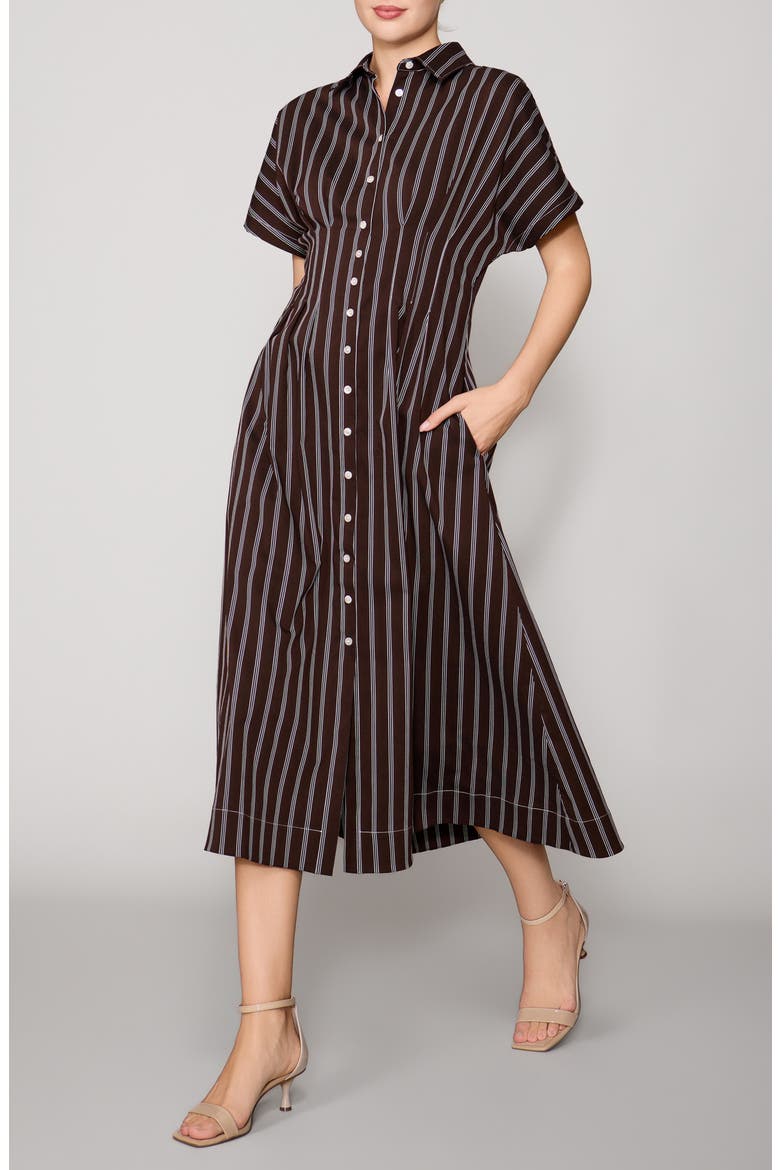 Contrast Stitch Midi Shirtdress, Alternate, color, BROWN STRIPE