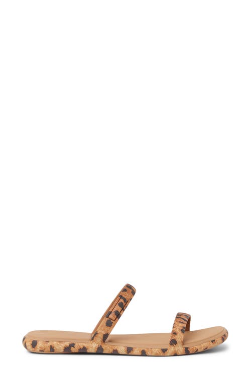 Reef Water Willow Marina Slide Sandal In Brown