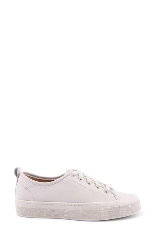 Sperry Top-sider® Sperry Candy Low Top Sneaker In Egret