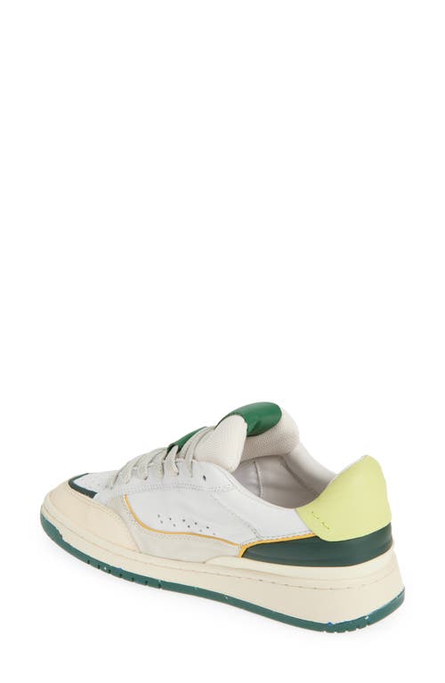 Oncept Paris Low Top Sneaker In Ivory - Green