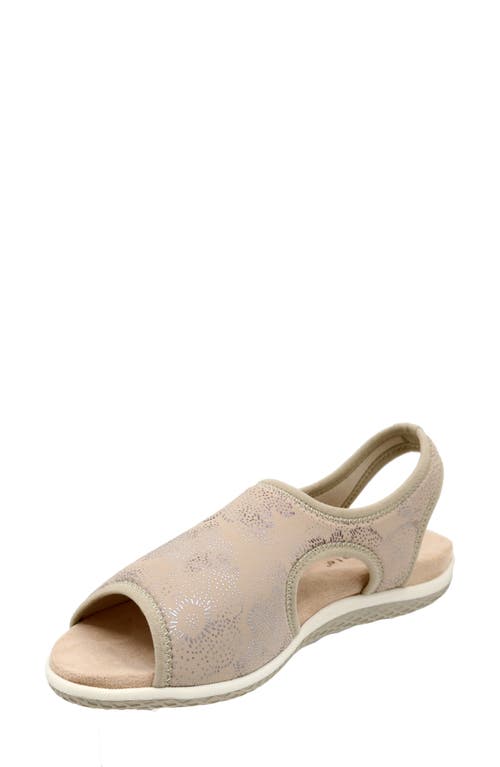 David Tate Stretch Slingback Sandal In Brown
