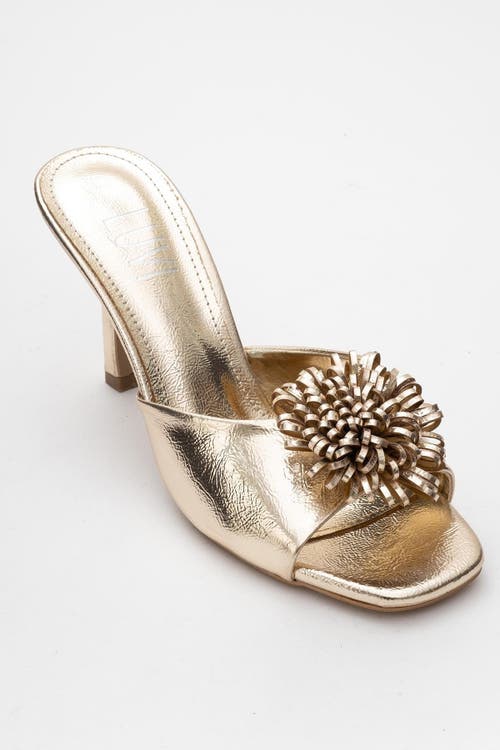 Prologue Shoes Shana Floral Stiletto Heel Mule in Gold Faux Leather at Nordstrom, Size 9