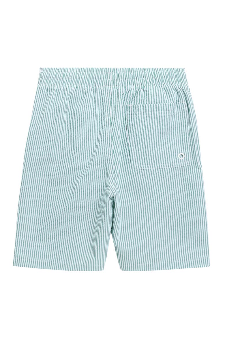 Kids' 7-Inch Volley Swim Shorts, Alternate, color, 322 MALACHITE