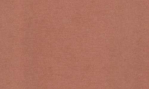 Nordstrom Rack Cap Sleeve Modal Blend T-shirt In Brown Clove